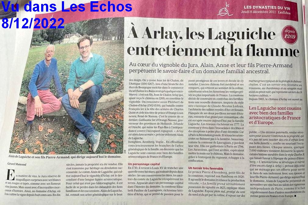 Article Les Echos